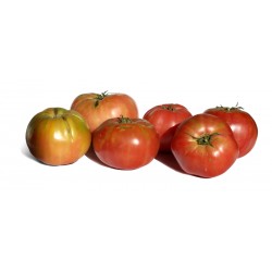 Tomate 1 Kg